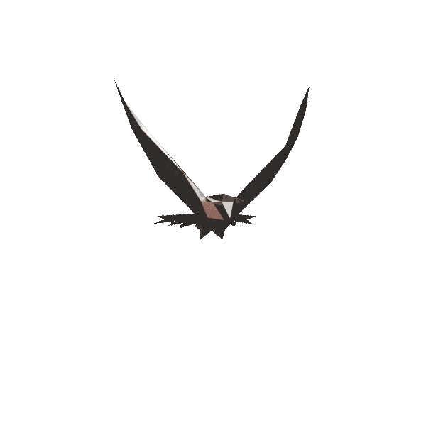 Pandov bird